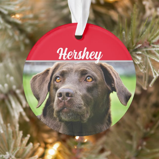 Chocolate Labrador with Name and Photo Christmas Ornament (Tree)