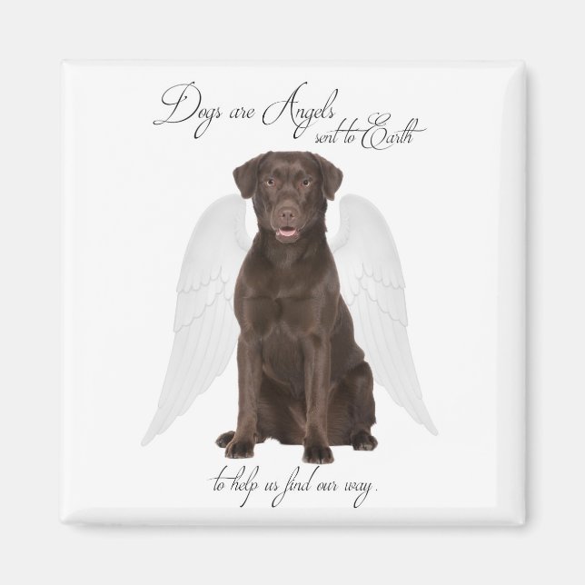 Chocolate Labs are Angels Magnet (Front)
