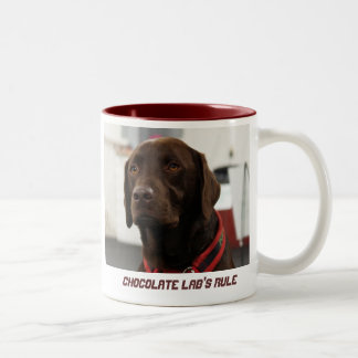 Chocolate Lab's Rule Two-Tone Coffee Mug