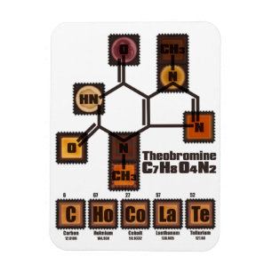 CHoCoLaTe Magnet