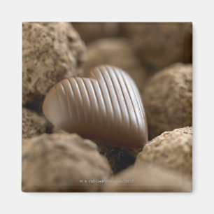 chocolate nestled amongst other chocolates magnet