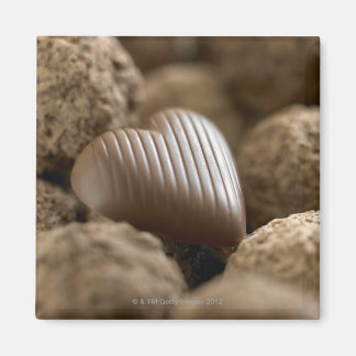 chocolate nestled amongst other chocolates magnet
