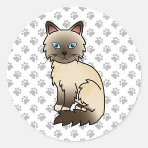 Chocolate Point Birman / Ragdoll Cute Cat & Paws Classic Round Sticker