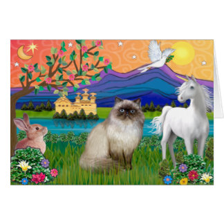 Chocolate Point Himalayan Cat - Fantasy Land