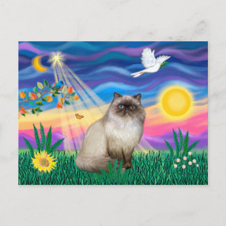 Chocolate Point Himalayan Cat - Twilight Postcard