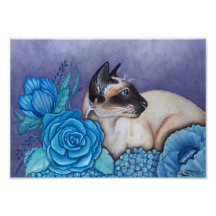 Chocolate Point Siamese Photo Print