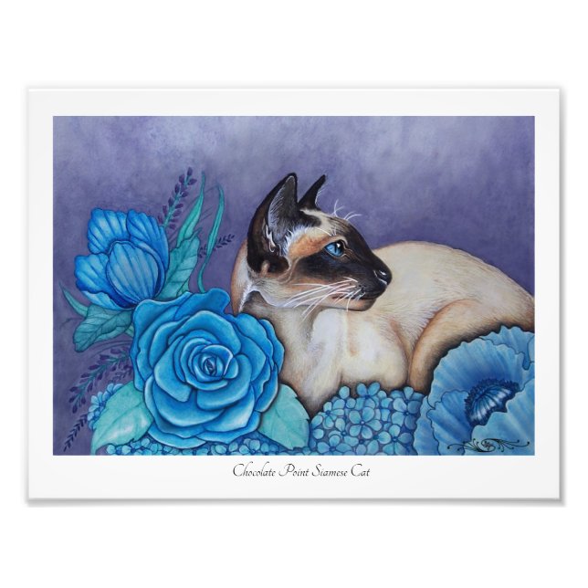 Chocolate Point Siamese Photo Print (Front)