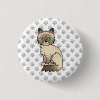Chocolate Point Tabby Birman / Ragdoll Cat & Paws