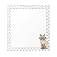 Chocolate Point Tabby Birman / Ragdoll Cat & Paws