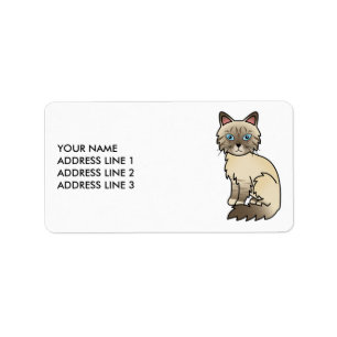 Chocolate Point Tabby Birman/Ragdoll Cat & Text Label