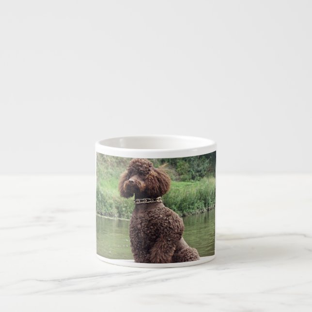 chocolate poodle sitting.png espresso cup (Front)