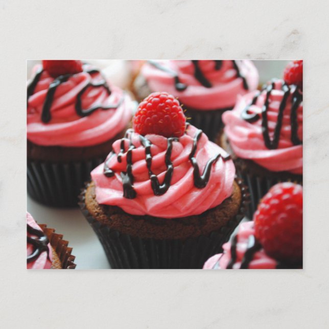 Chocolate Raspberry Cupcake Postcard (Front)