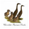 Chocolate Runner Duck Family