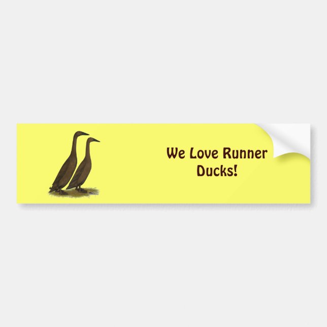 Chocolate Runner Ducks Bumper Sticker (Front)