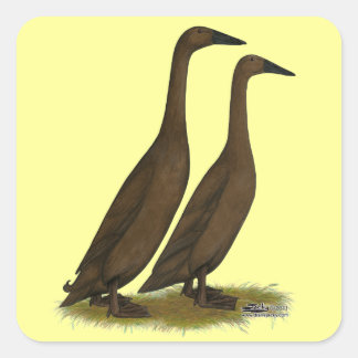 Chocolate Runner Ducks Square Sticker