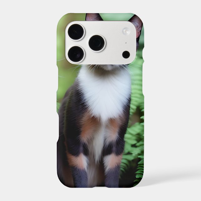 Chocolate Siamese Cat,  (Back)