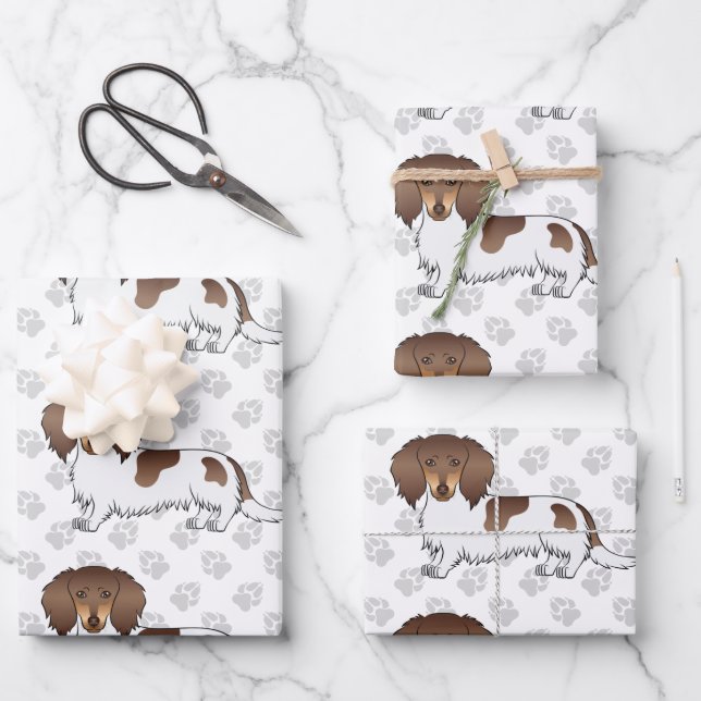 Chocolate & Tan Piebald Long Hair Dachshund & Paws Wrapping Paper Sheet (Front)