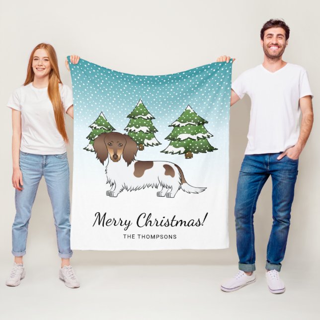 Chocolate & Tan Pied Long Hair Dachshund In Winter Fleece Blanket (In Situ)