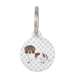 Chocolate & Tan Pied Short Hair Dachshund Cute Dog Pet Tag