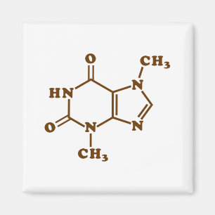 Chocolate Theobromine Molecular Chemical Formula Magnet