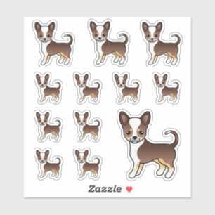 Chocolate Tricolor Smooth Coat Chihuahua Cute Dogs