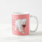 Chocolate Wine and Cats Facts of Life Mug