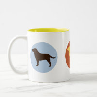 Chocolate, Yellow, and Black Labrador Retrievers
