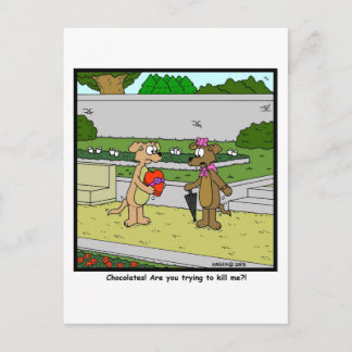 Chocolates?! Postcard