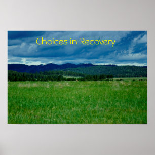 Choices in Recovery poster/Motivational III Poster