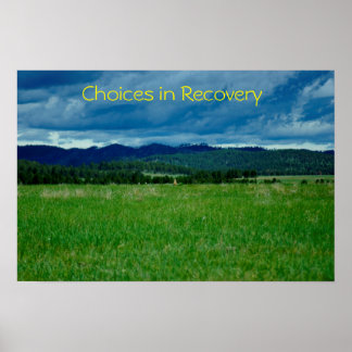 Choices in Recovery poster/Motivational III Poster
