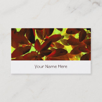 Choisya Autumn 2 business card stripe white