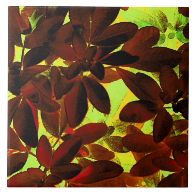 Choisya Autumn 2 ceramic tile (Front)