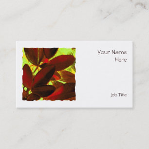 Choisya Autumn 2 square business card white