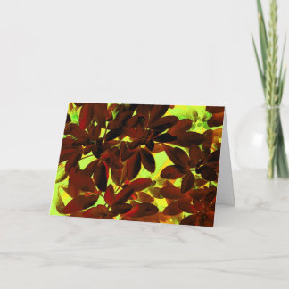 Choisya Autumn 2 'Thank You' card