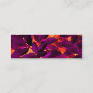 Choisya Autumn 3 business card white back skinny