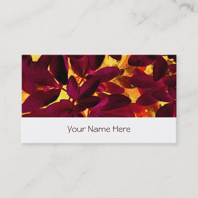 Choisya Autumn business card stripe white (Front)