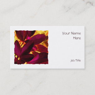 Choisya Autumn square business card white