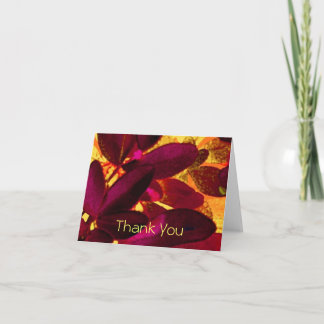 Choisya Autumn 'Thank You' note card