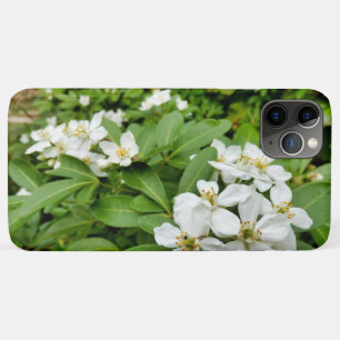 Choisya Ternata Case-Mate iPhone Case