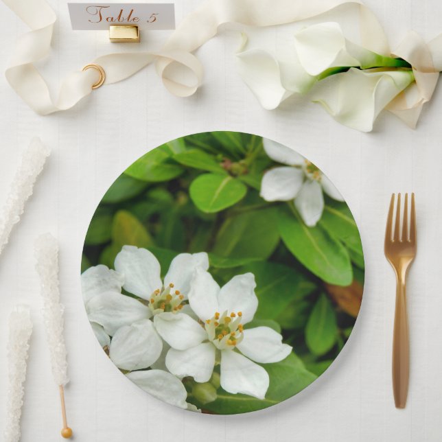 Choisya Ternata Paper Plate (Wedding)