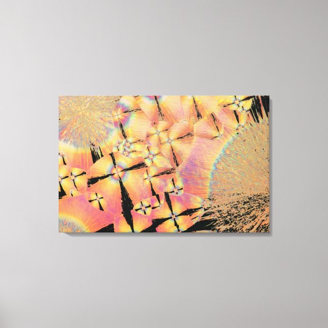 Cholesterol crystals 2 canvas print (Front)
