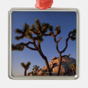 Cholla cactus and Cap Rock , Joshua Tree Metal Tree Decoration