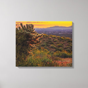 Cholla Cactus Desert Flowers Arizona Sunset 20x16 Canvas Print