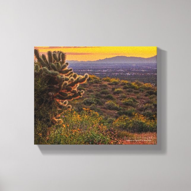 Cholla Cactus Desert Flowers Arizona Sunset 8 x 10 Canvas Print (Front)