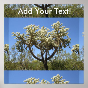 Cholla Cactus Poster