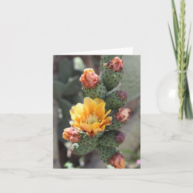Cholla flower card (Front)