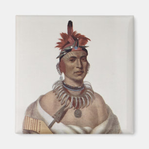 Chon-Ca-Pe or 'Big Kansas', an Oto Chief Magnet