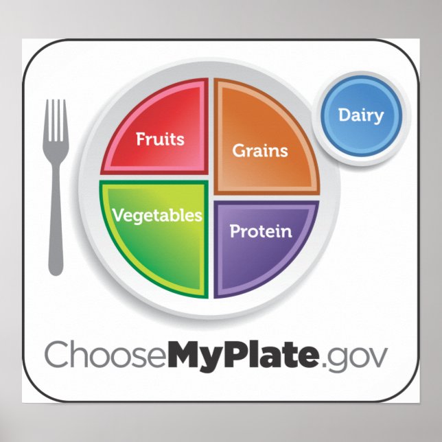 ChooseMyPlate Poster (Front)