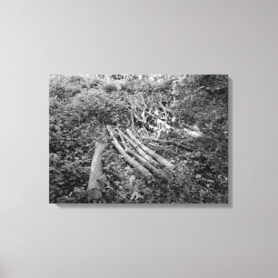 Chopped Up Tree Canvas Print
