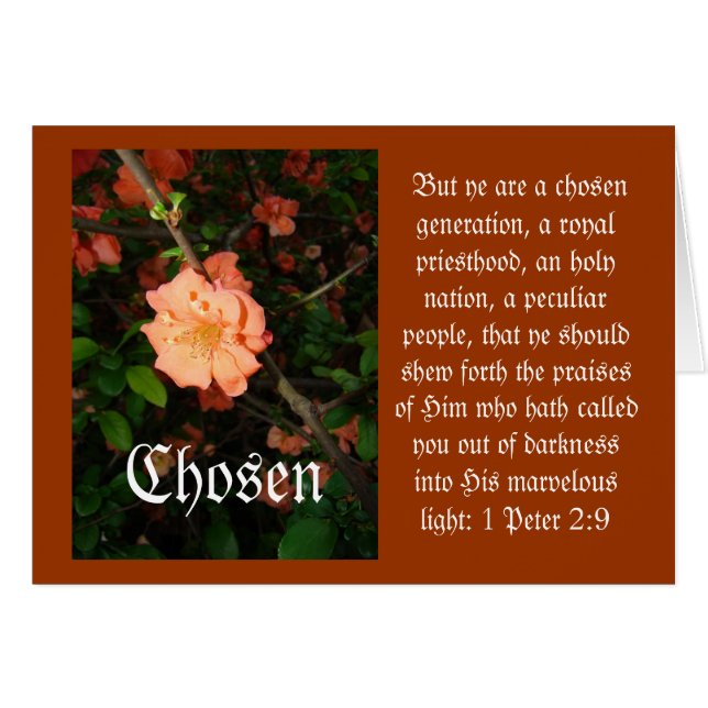Chosen (Front Horizontal)
